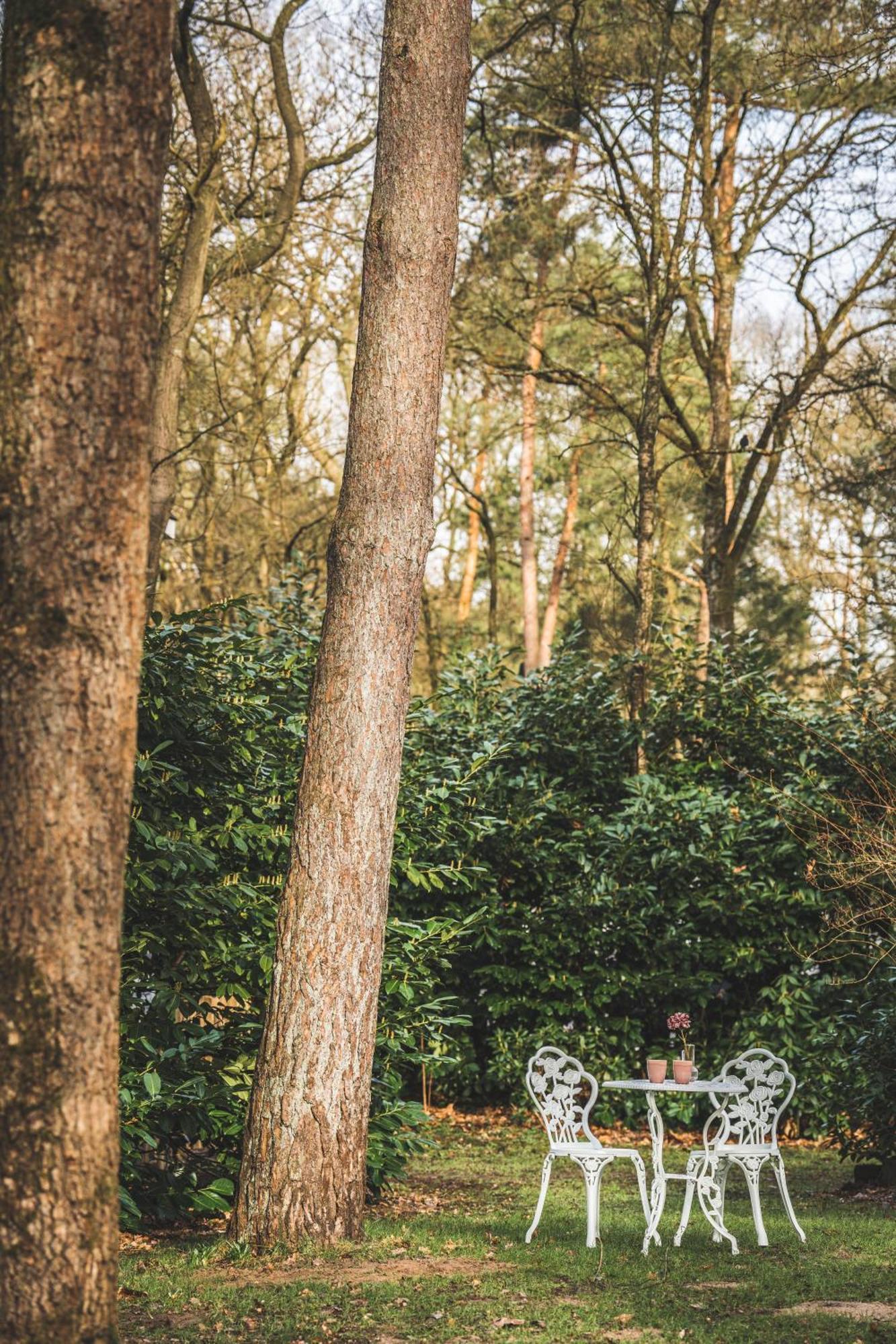Boshuisje Op De Veluwe Nunspeet Eksteriør bilde